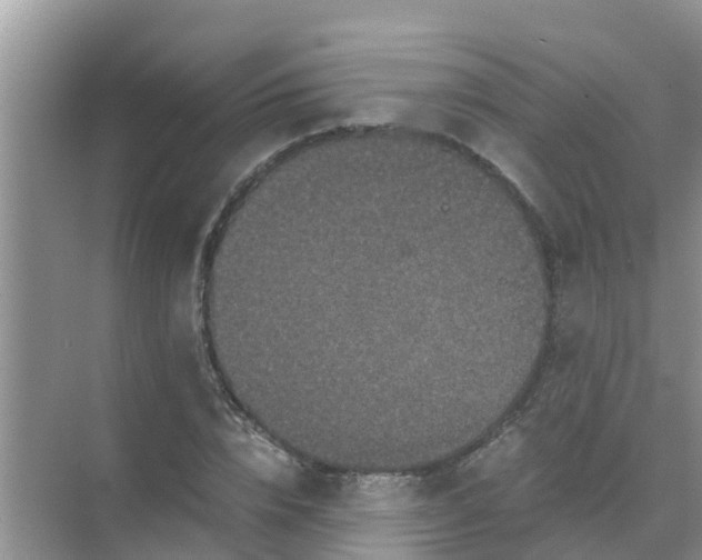 X0000071760832200607150000