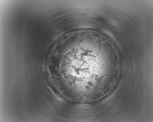 X0000071760833200607150000