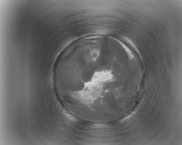 X0000071760835200607150000