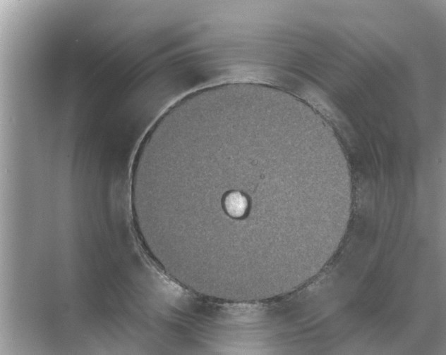 X0000071760836200607150000