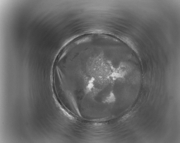 X0000071760839200607150000