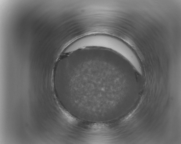 X0000071760842200607150000