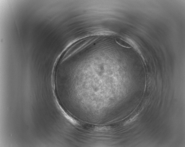 X0000071760843200607150000