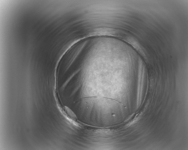 X0000071760844200607150000