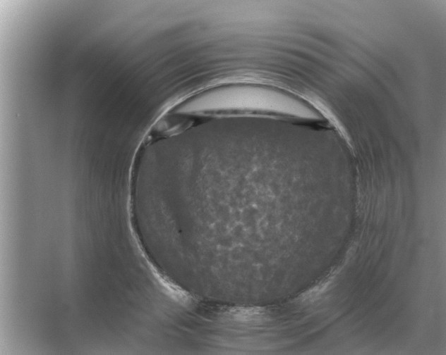 X0000071760845200607150000