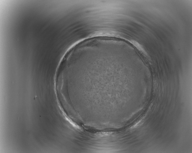 X0000071760846200607150000