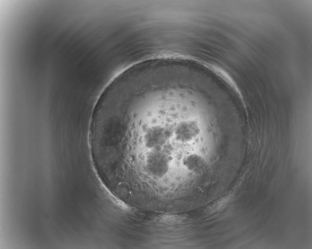 X0000071760847200607150000