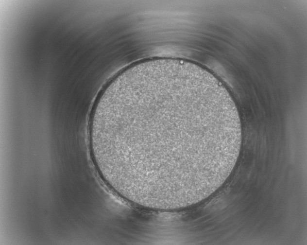 X0000071760848200607150000