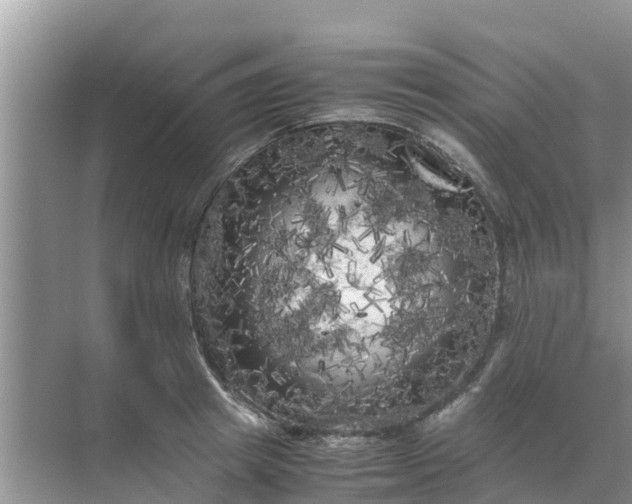 X0000071760849200607150000