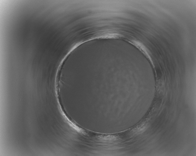 X0000071760851200607150000