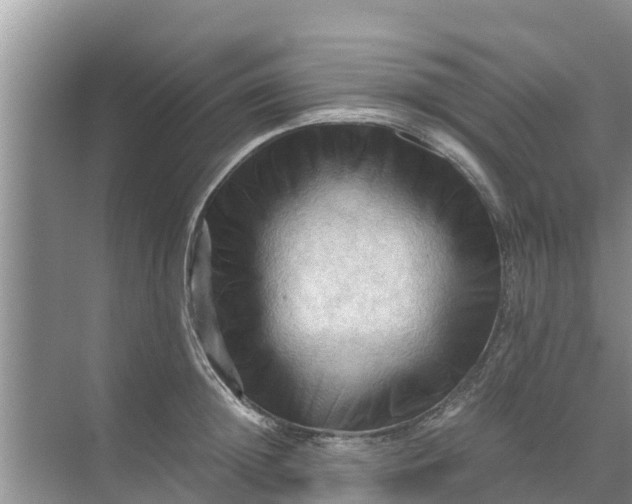 X0000071760852200607150000