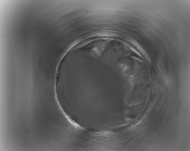 X0000071760853200607150000