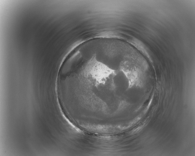 X0000071760855200607150000