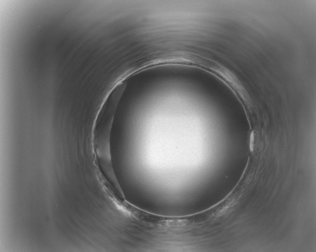 X0000071760858200607150000