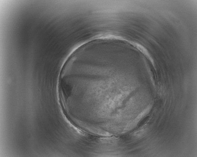 X0000071760863200607150000