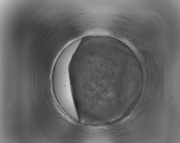 X0000071760864200607150000