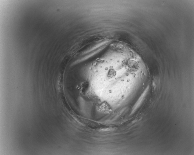 X0000071760867200607150000