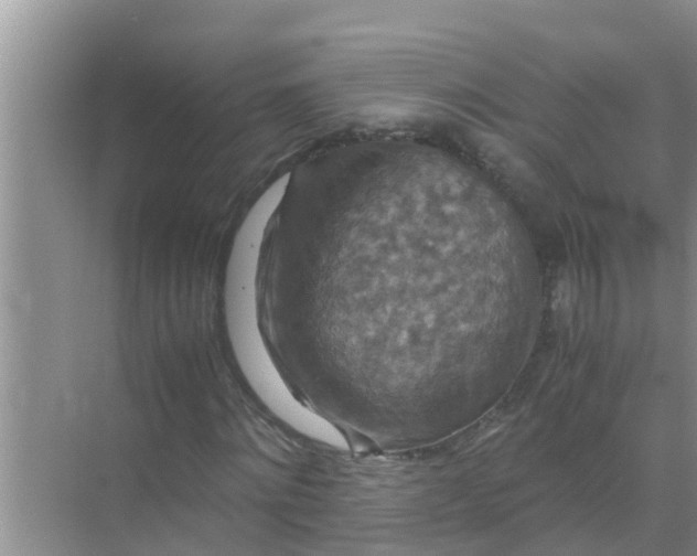 X0000071760868200607150000