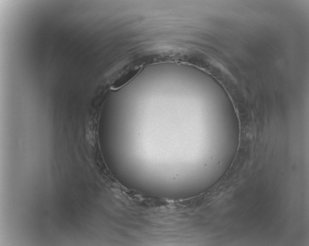 X0000071760869200607150000