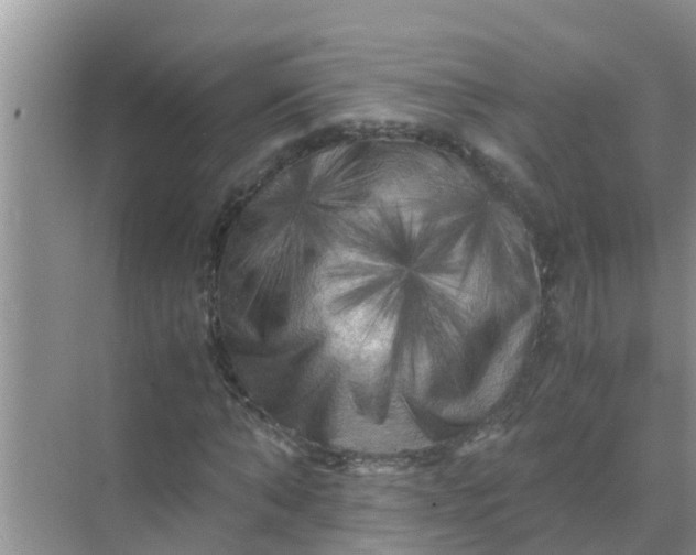 X0000071760870200607150000