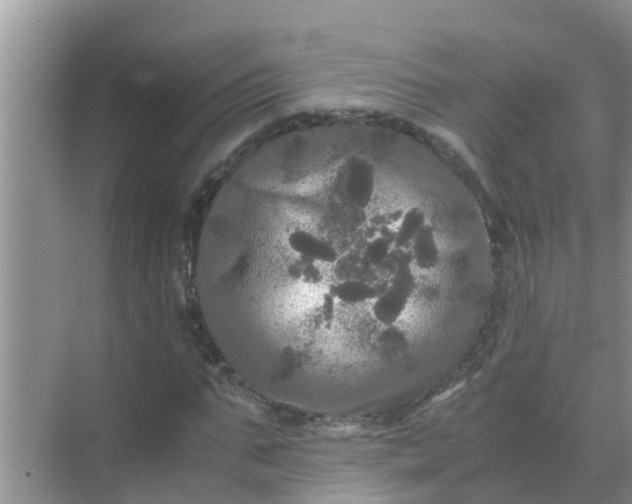 X0000071760871200607150000