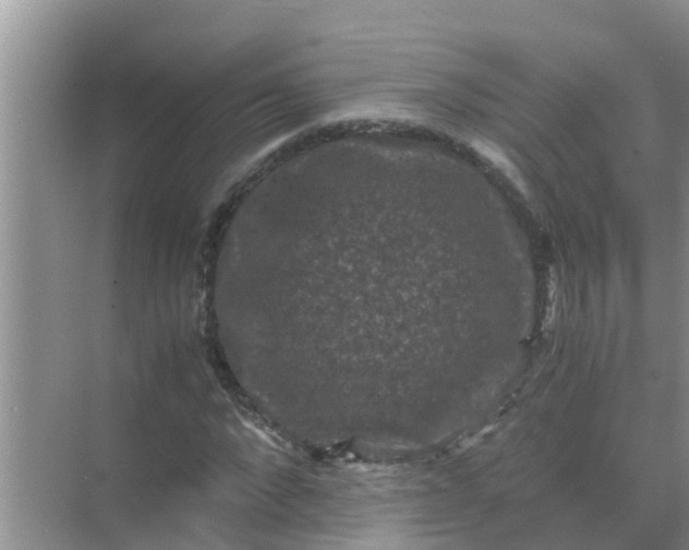 X0000071760872200607150000