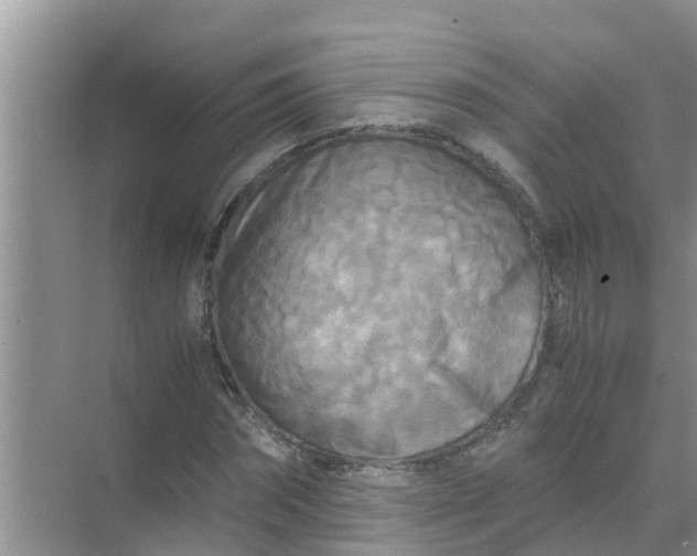 X0000071760874200607150000