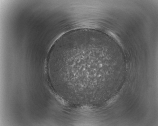 X0000071760875200607150000