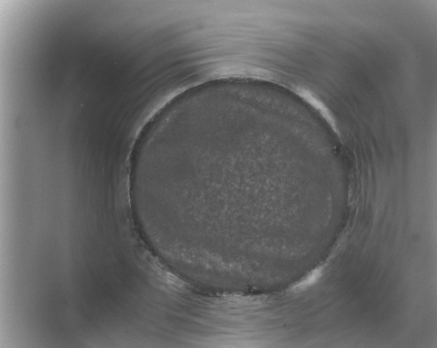 X0000071760877200607142359