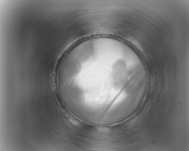 X0000071760878200607142359