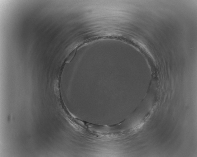 X0000071760881200607142359