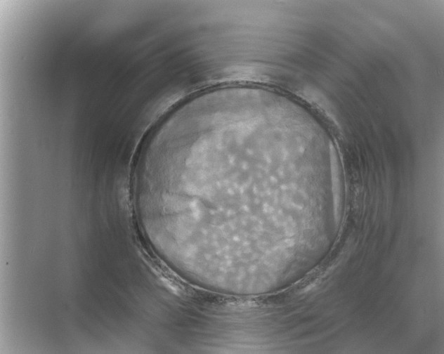 X0000071760882200607142359