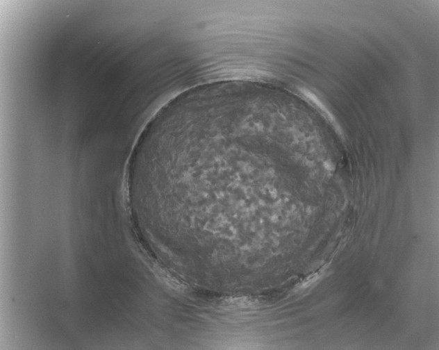 X0000071760883200607142359