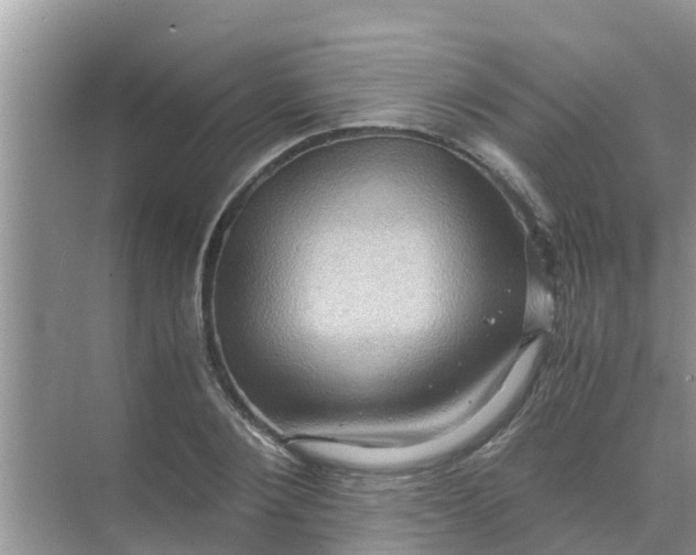 X0000071760884200607142359