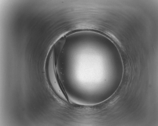 X0000071760885200607142359