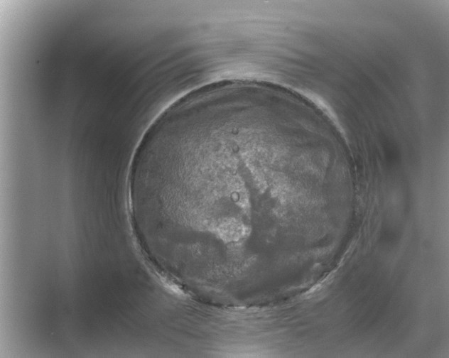 X0000071760887200607142359