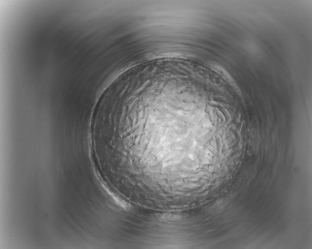 X0000071760890200607142359