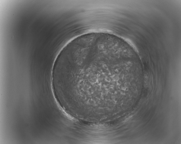 X0000071760895200607142359