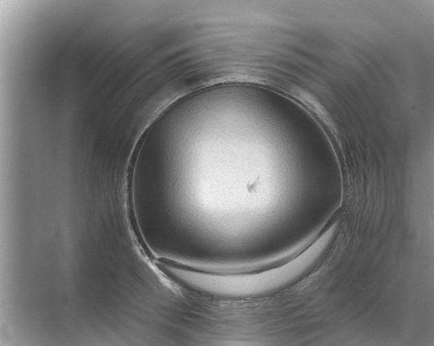 X0000071760898200607142359