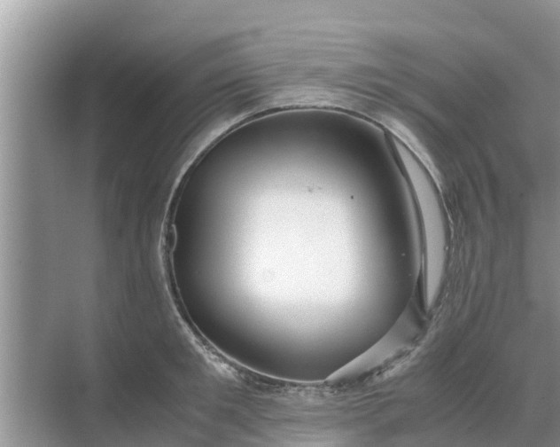 X0000071760901200607142359