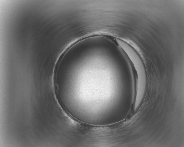 X0000071760902200607142359