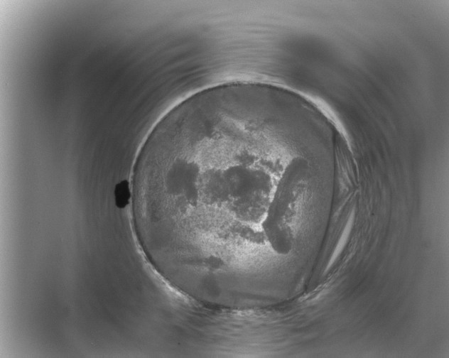 X0000071760903200607142359