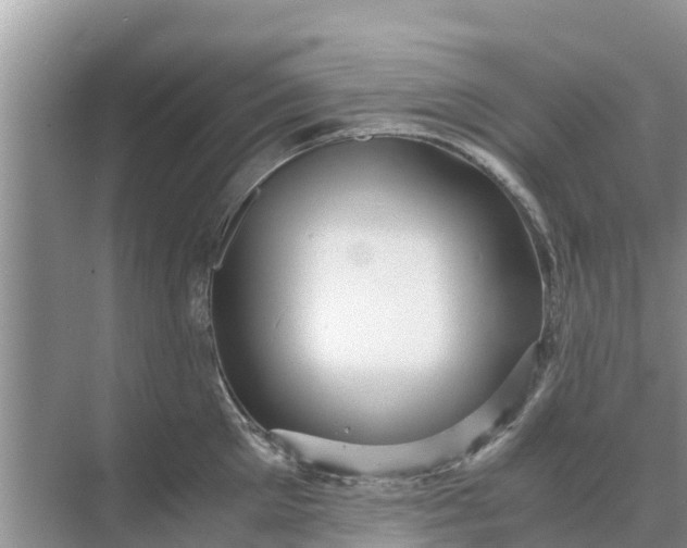 X0000071760905200607142359