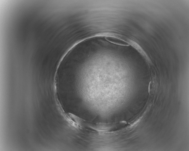 X0000071760908200607142359