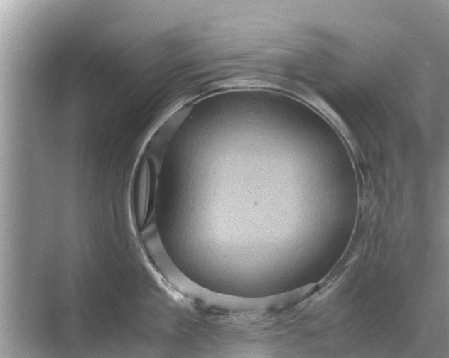 X0000071760909200607142359