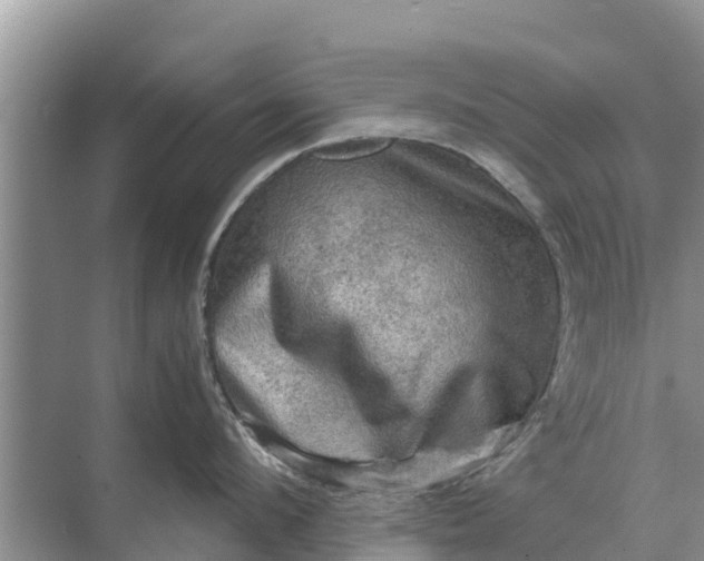 X0000071760912200607142359