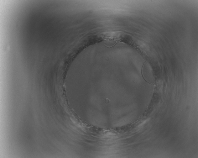 X0000071760913200607142358