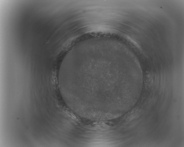 X0000071760918200607142358