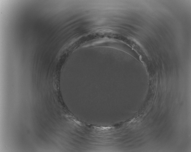 X0000071760919200607142358