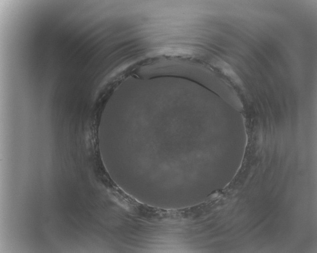 X0000071760920200607142358